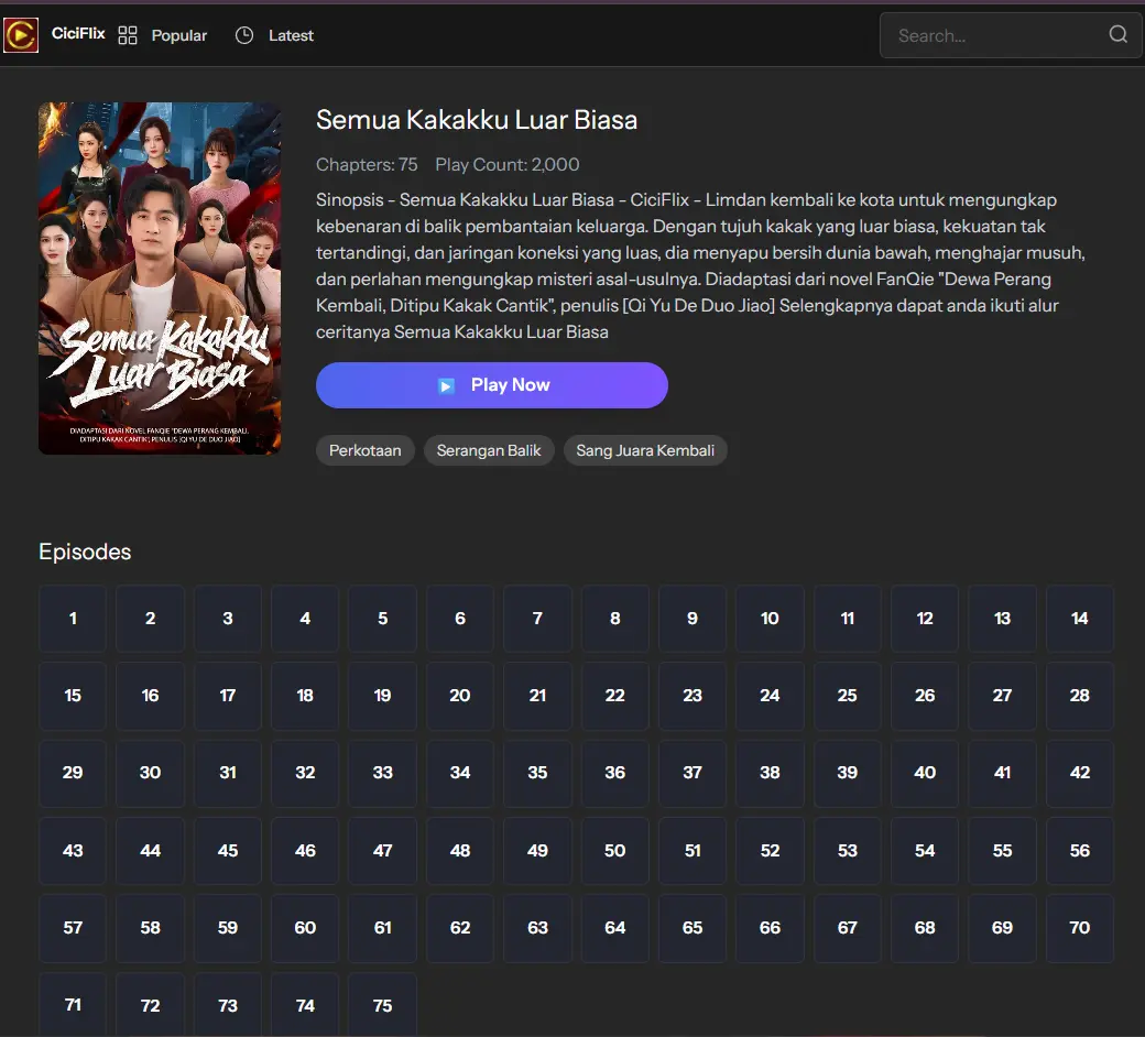 Semua Kakakku Luar Biasa: Drama Cina Keluarga Penuh Misteri yang Bikin Ketagihan!